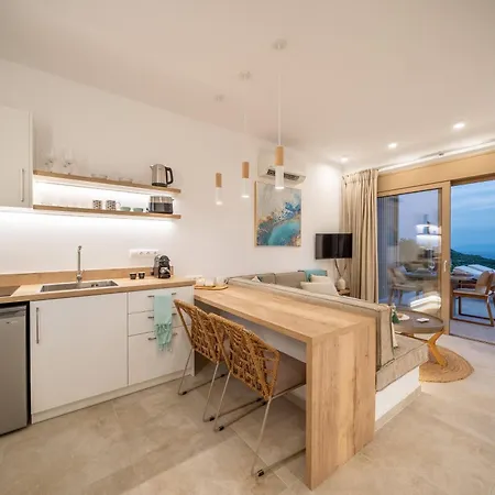 Villa Ionian Horizon - Private Plateies